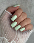 POWDER MINT