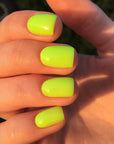 FRESH LIME