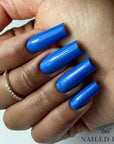 ROYAL REIGN