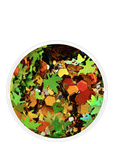FREE GIFT | RUSSET GARDEN