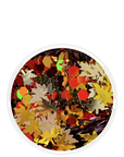 FREE GIFT | MIXED VIBES
