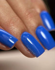 ROYAL REIGN