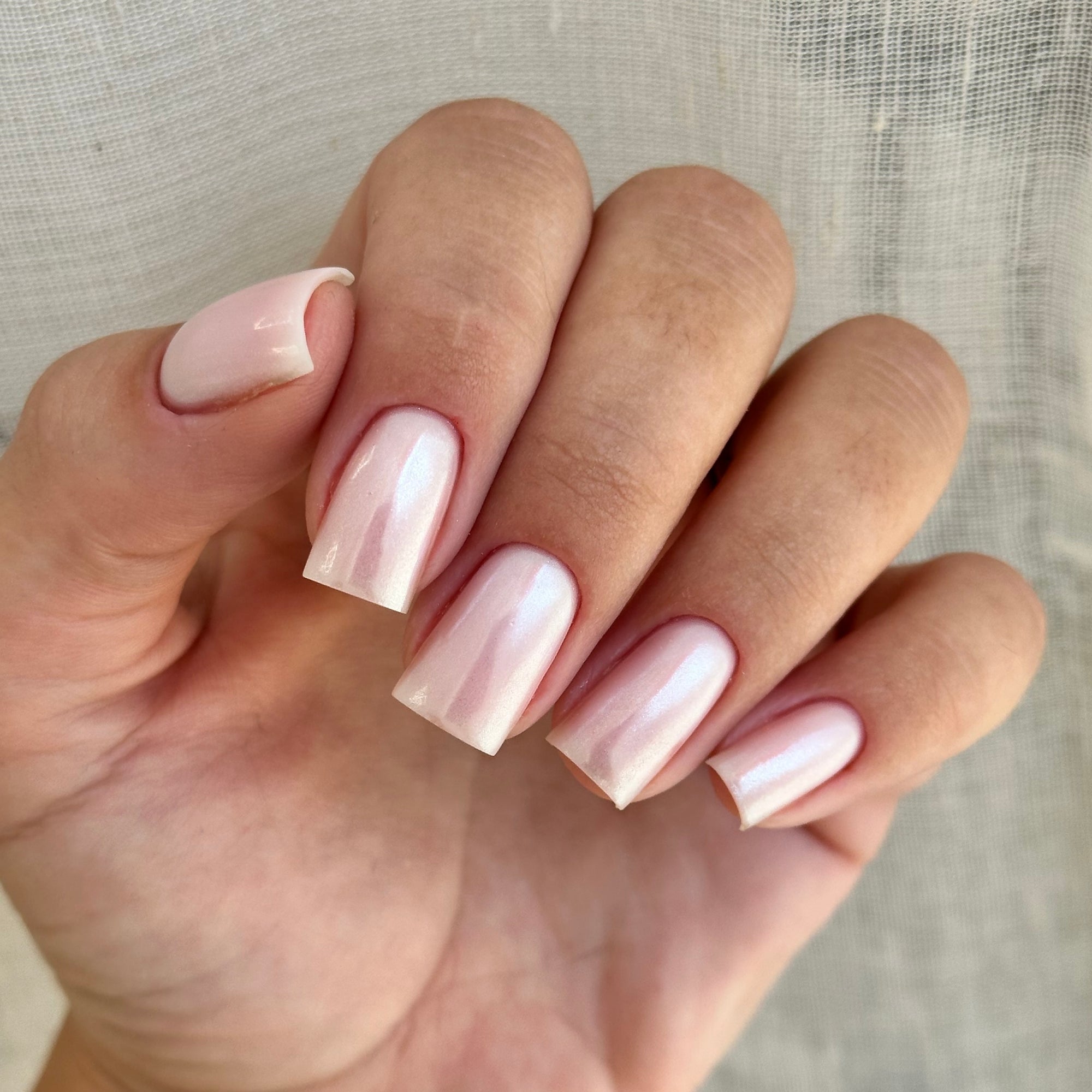 TEA ROSE
