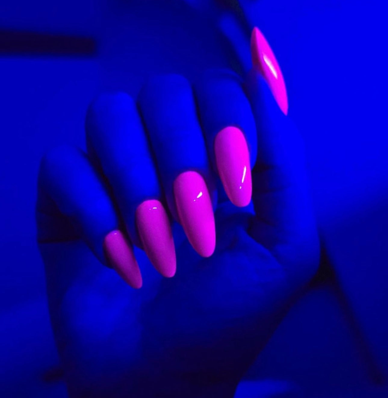 PEONY